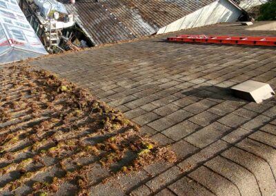 Cleaning moss from roof shingles to restore asphalt shingles